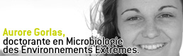 Aurore Gorlas
