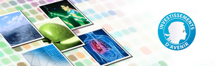 Investissements d'avenir